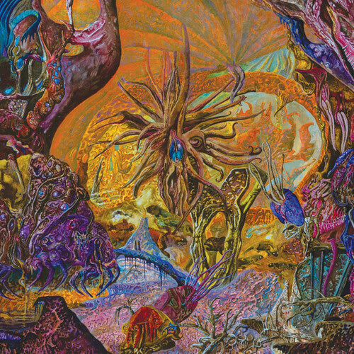 Slimelord Chytridiomycosis Relinquished - Record Album - Vinyl LP