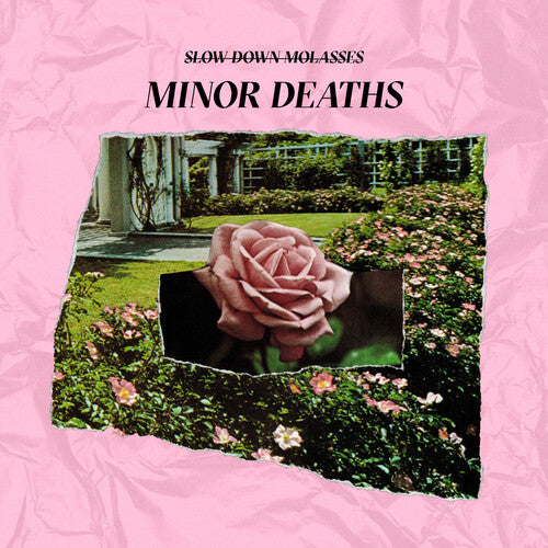 Slow Down, Molasses Minor Deaths - Record Album - Vinyl LP