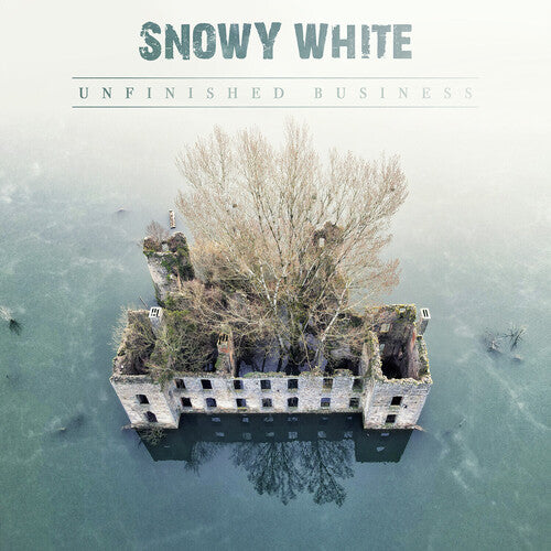 Snowy White Unfinished Business - Record Album - Vinyl LP