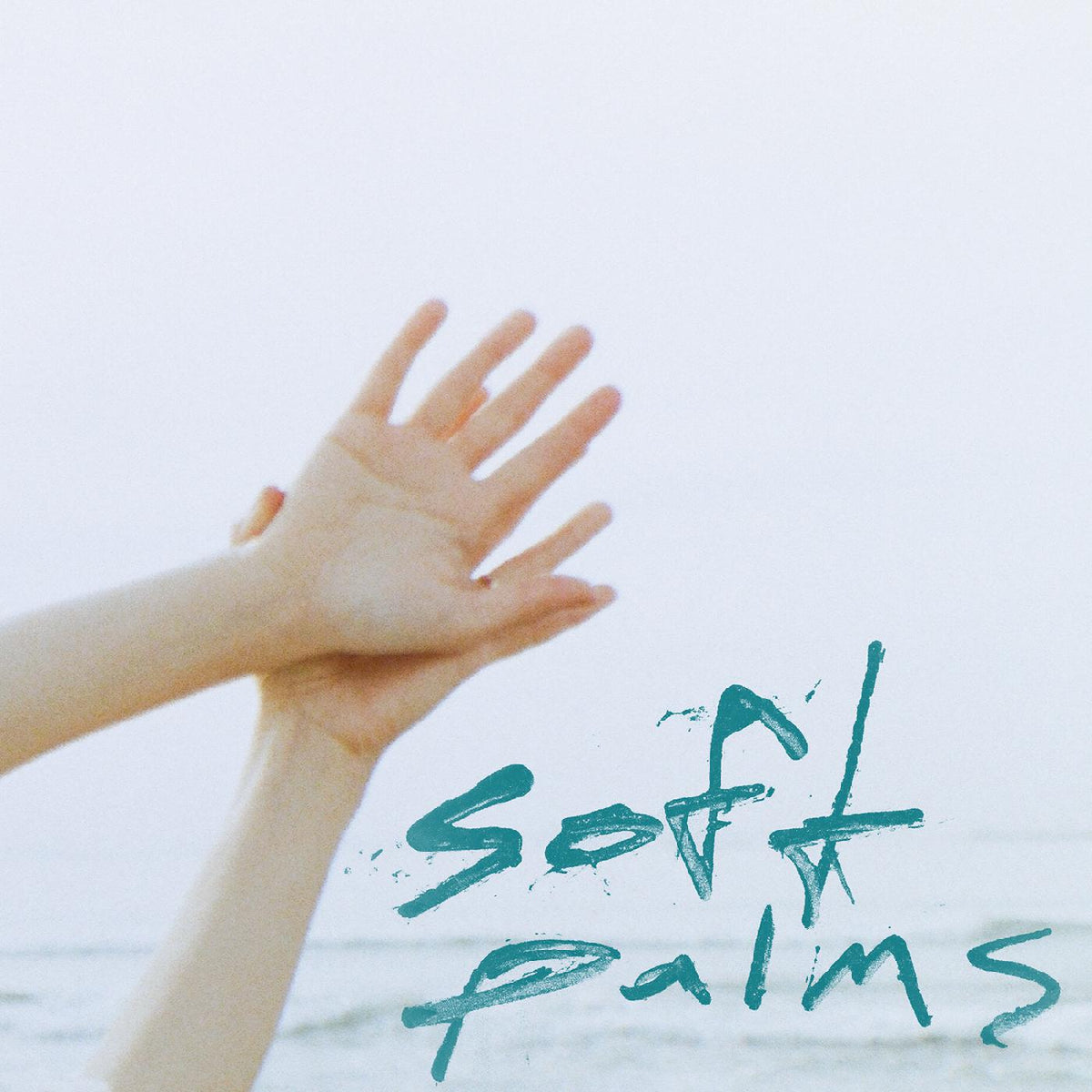 Soft Palms Soft Palms
