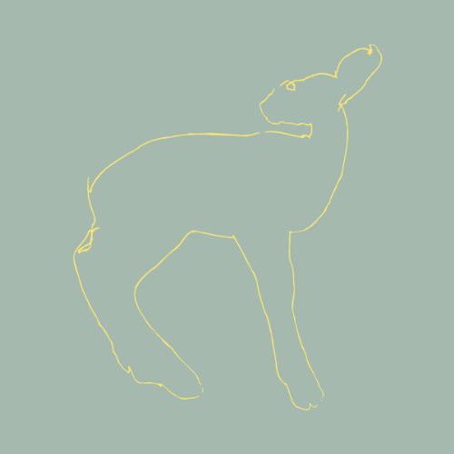 Songs: Ohia Hecla and Griper [15th Anniversary Edition] - Record Album - Vinyl LP