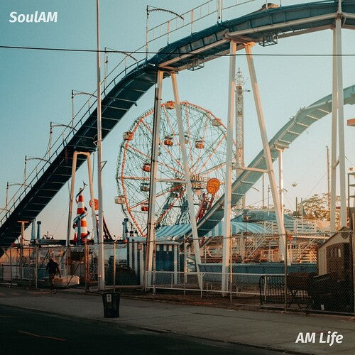 Soul Am AM Life - Record Album - Vinyl LP