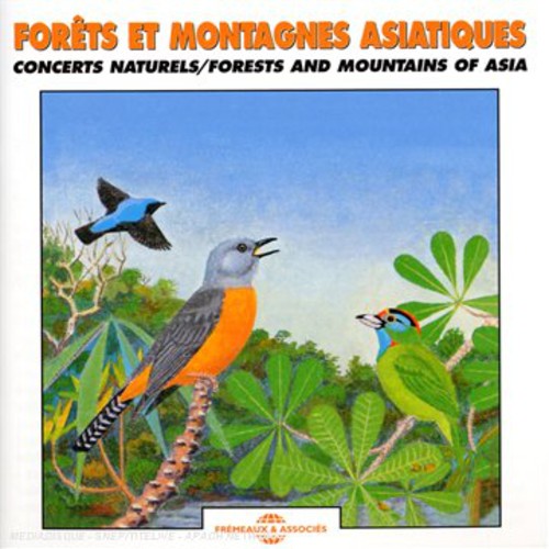 Sounds Of Nature Forest and Mountains Of Asia: Natural Soundscapes - CD Album