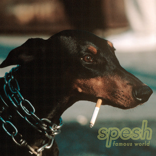 Spesh Famous World - Record Album - Vinyl LP