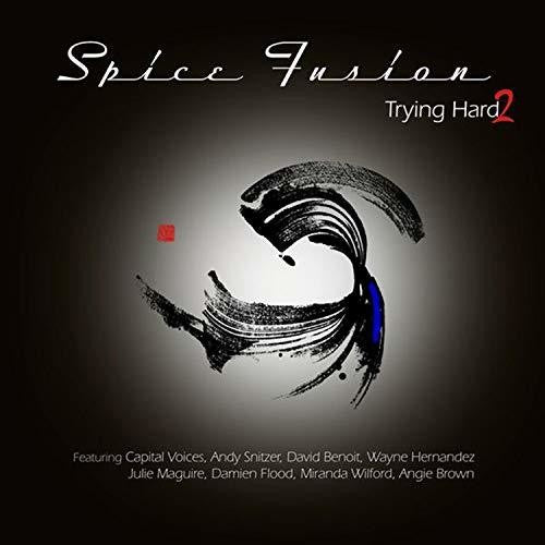 Spice Fusion Trying Hard 2 - Record Album - Vinyl LP