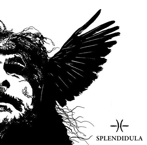 Splendidula Somnus - Record Album - Vinyl LP