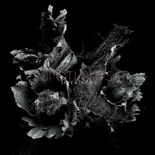 Spotlights Love and Decay - Double Record Album - Vinyl LP