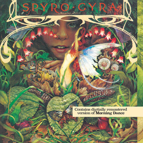 Spyro Gyra Morning Dance - CD Album