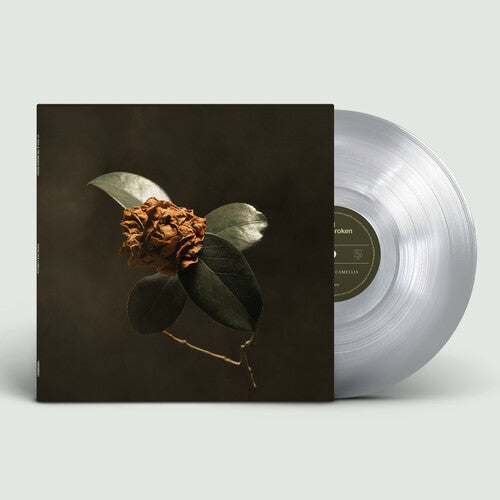 St. Paul & The Broken Bones Young Sick Camellia - Record Album - Vinyl LP