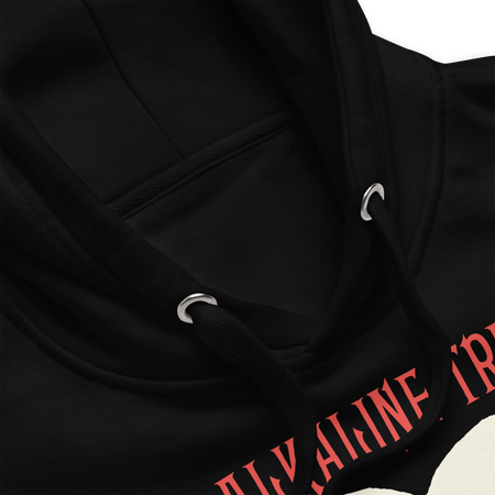 Stakes Alkaline Trio Est 1996 Hoodie Black