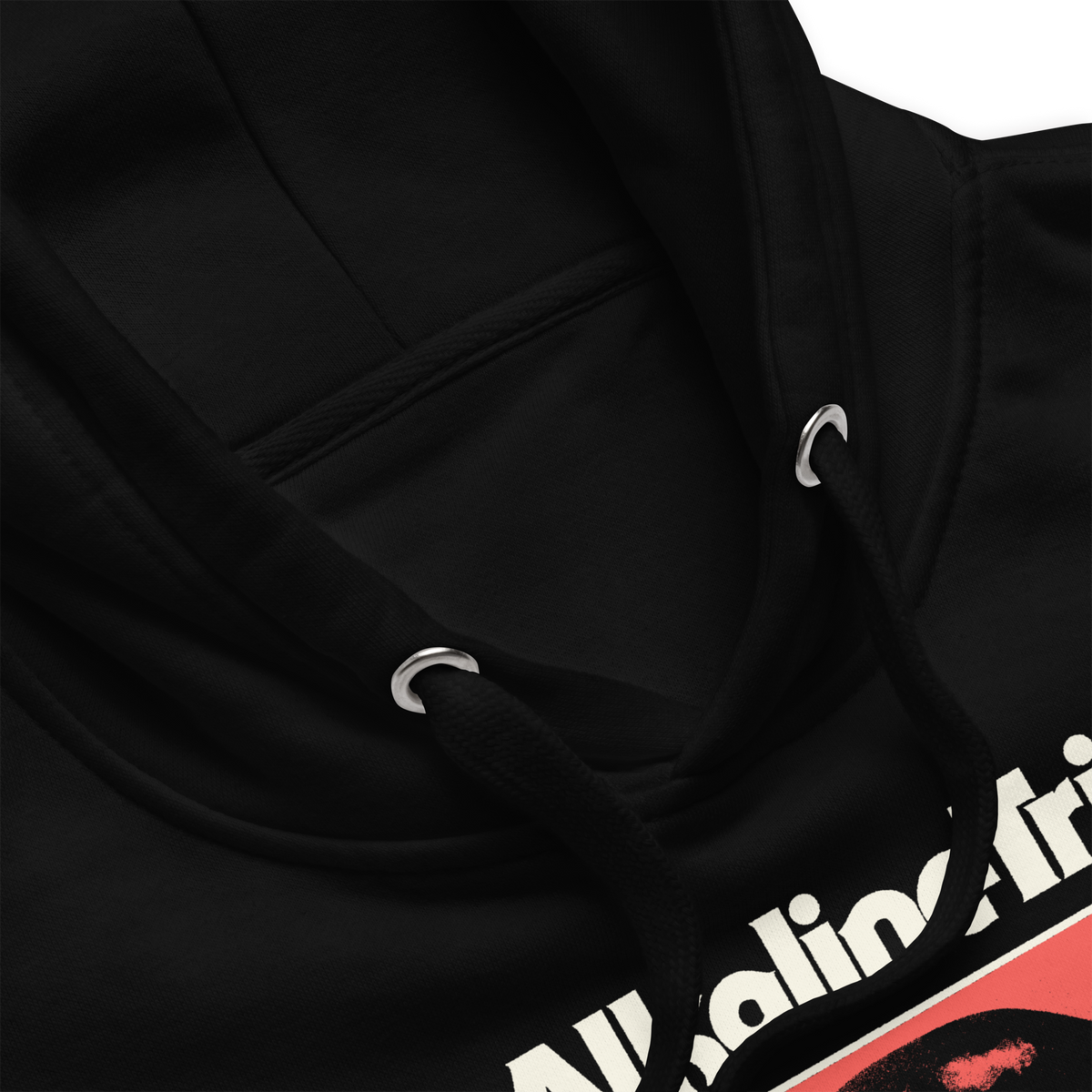 Stakes Alkaline Trio Restricted Hoodie Black