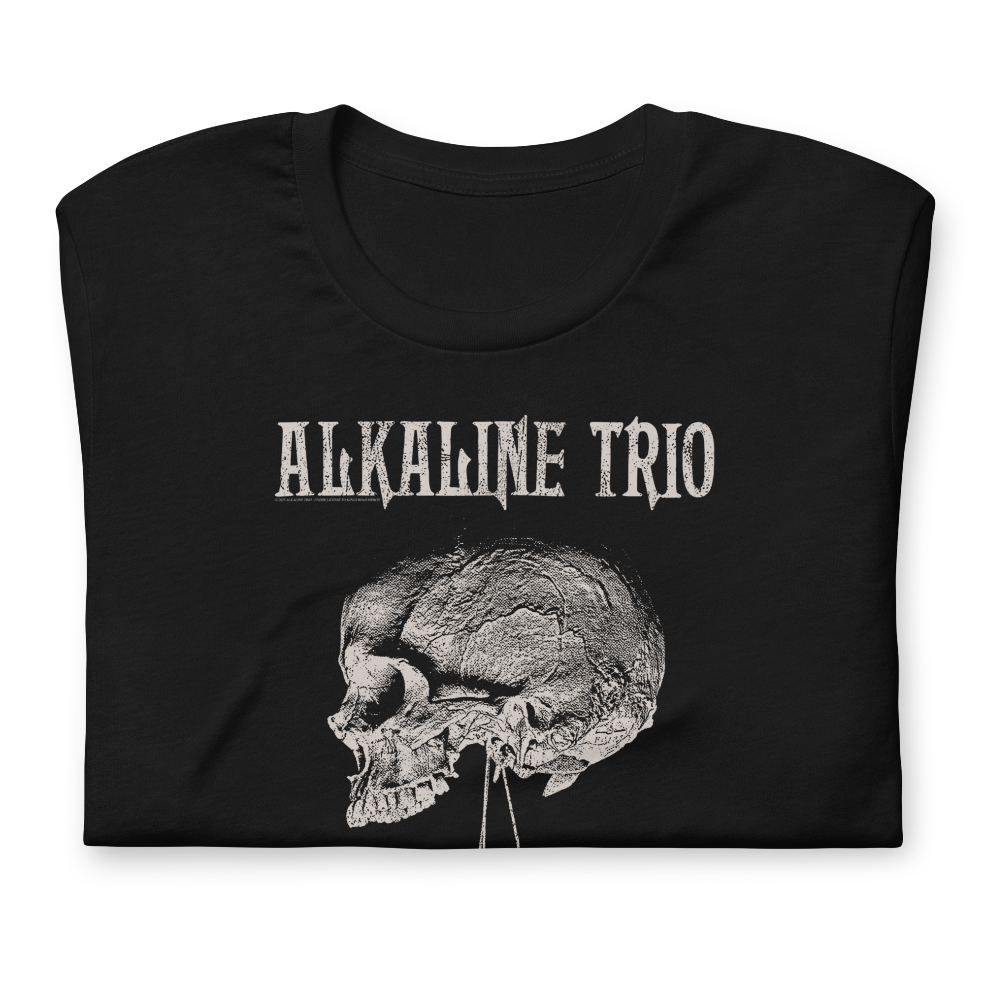 Stakes Alkaline Trio Roses Blooming T-Shirt Black
