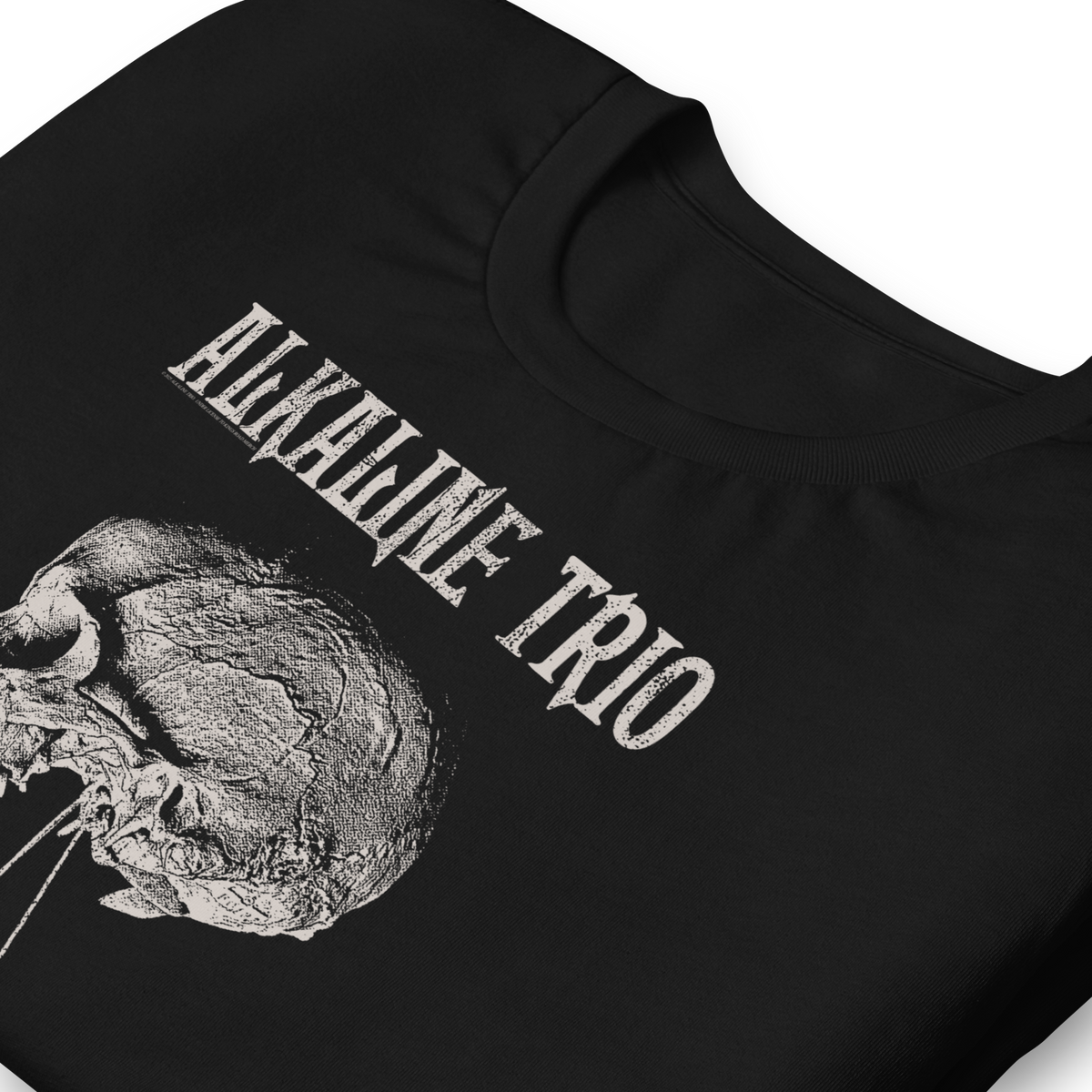 Stakes Alkaline Trio Roses Blooming T-Shirt Black