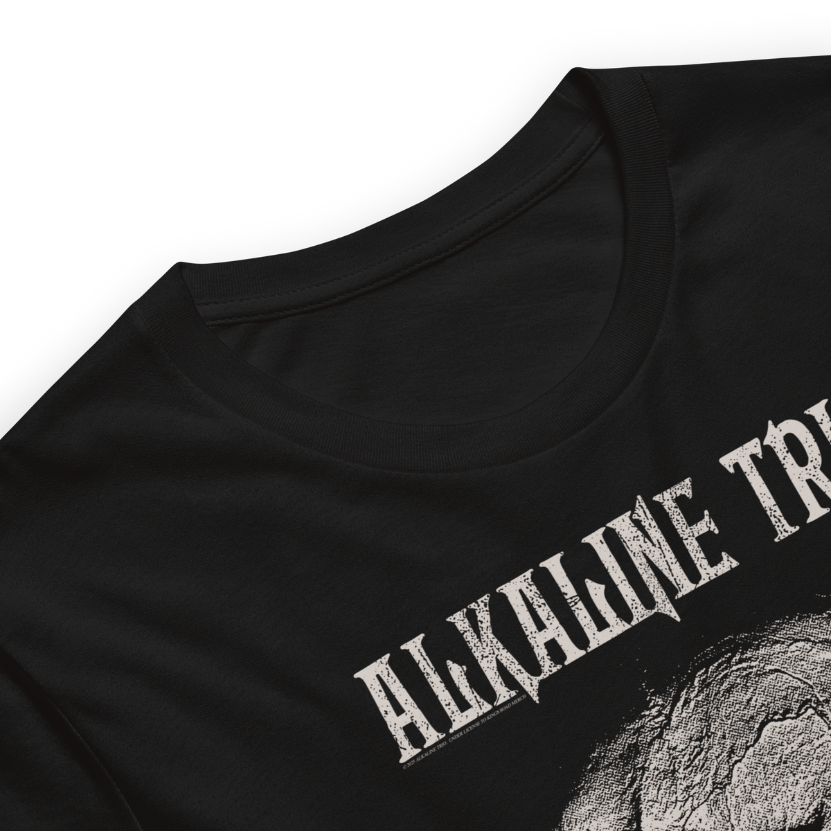 Stakes Alkaline Trio Roses Blooming T-Shirt Black