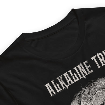 Stakes Alkaline Trio Roses Blooming T-Shirt Black