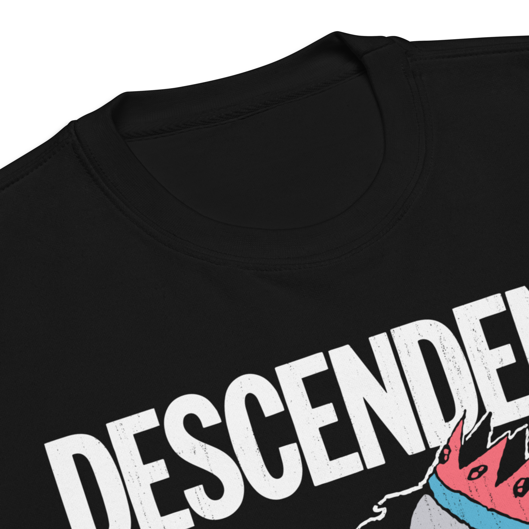 Stakes Descendents 1987 Tour Vintage Sweatshirt Black