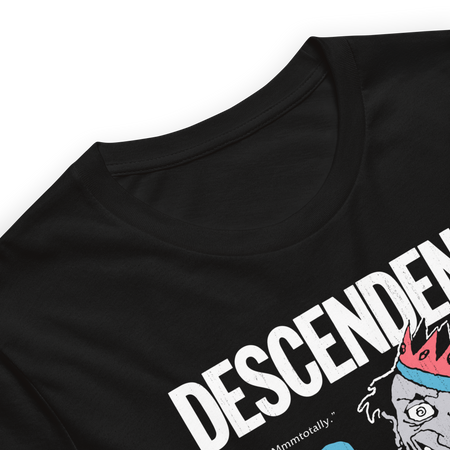 Stakes Descendents 1987 Tour Vintage T-Shirt Black