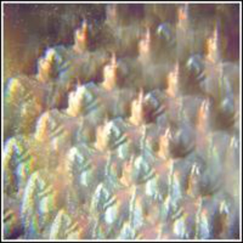 Stealing Sheep Into the Diamond Sun - Double Record Album - Vinyl LP