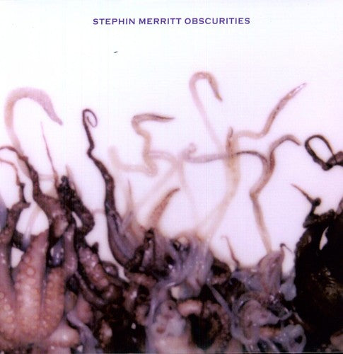 Stephin Merritt Obscurities - Record Album - Vinyl LP