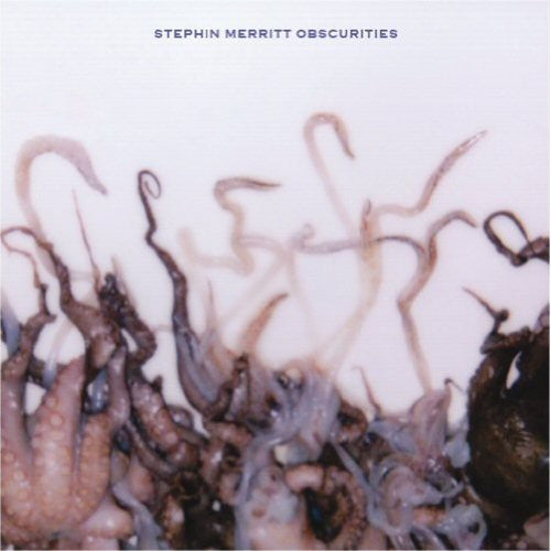 Stephin Merritt Obscurities - Record Album - Vinyl LP