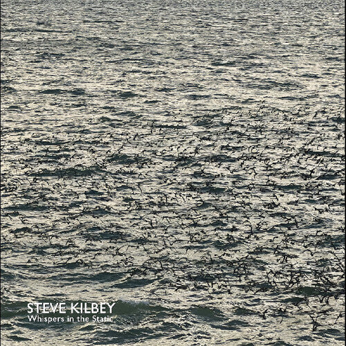 Steve Kilbey Whispers In The Static - Record Album - Vinyl LP