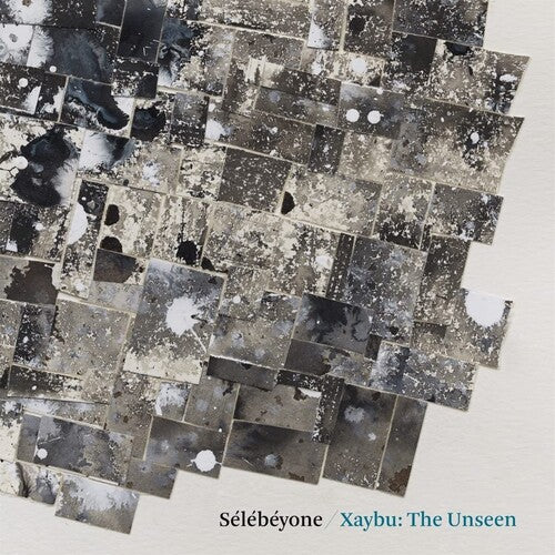 Steve Lehman Xaybu: The Unseen - Record Album - Vinyl LP