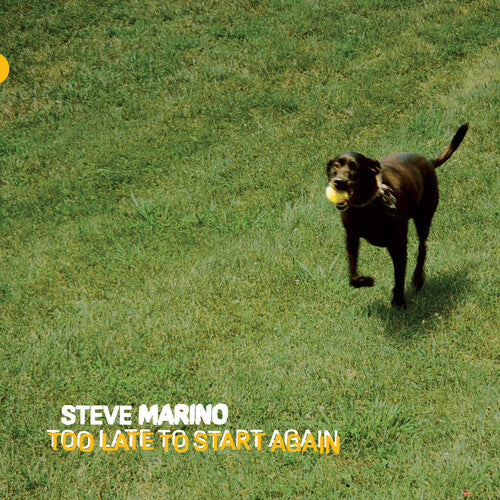 Steve Marino Too Late to Start Again - Record Album - Vinyl LP