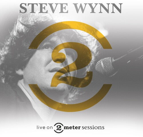 Steve Wynn Live On 2 Meter Sessions - Record Album - Vinyl LP