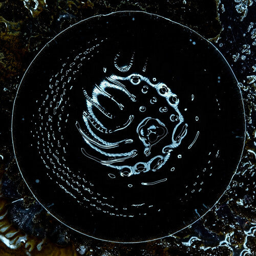 Stonus Stonus - Record Album - Vinyl LP