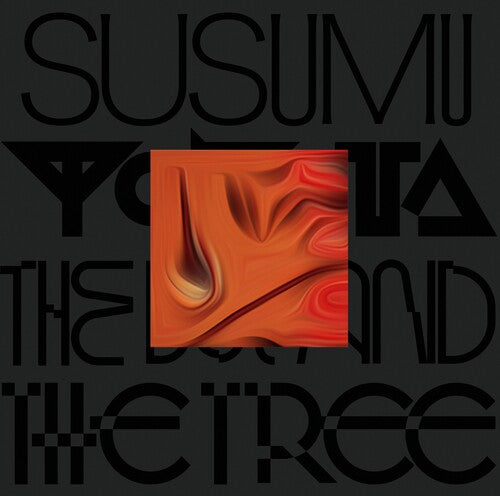 Susumu Yokota The Boy And The Tree - Double Record Album - Vinyl LP