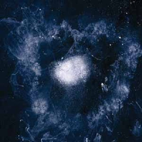 Swans My Father Will Guide Me Up a Rope to the Sky - Record Album - Vinyl LP
