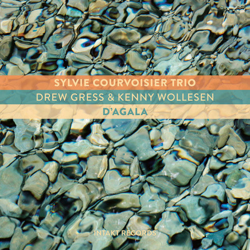 Sylvie Courvoisier D'Agala - CD Album