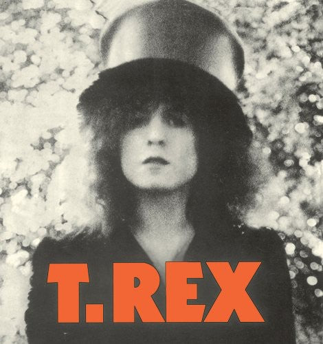 T. Rex Slider - Record Album - Vinyl LP