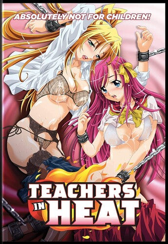 Teachers in Heat Teachers In Heat - DVD
