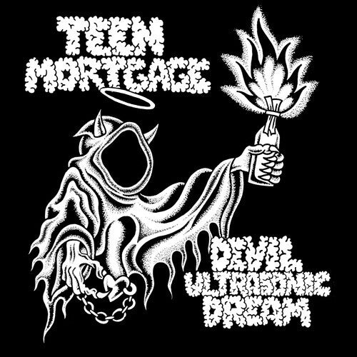 Teen Mortgage Devil Ultrasonic Dream - Record Album - Vinyl LP
