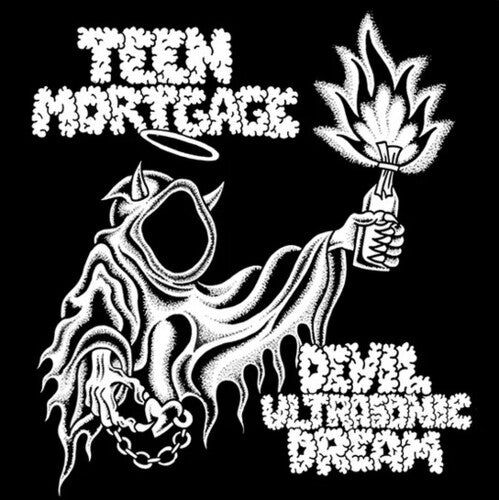 Teen Mortgage Devil Ultrasonic Dream - Record Album - Vinyl LP
