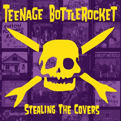 TEENAGE BOTTLEROCKET Stealing The Covers - Record Album - Vinyl LP