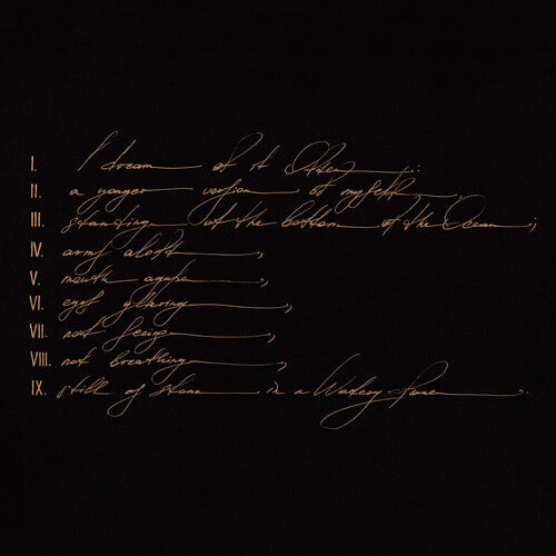 TELEFON TEL AVIV Dreams Are Not Enough - Double Record Album - Vinyl LP