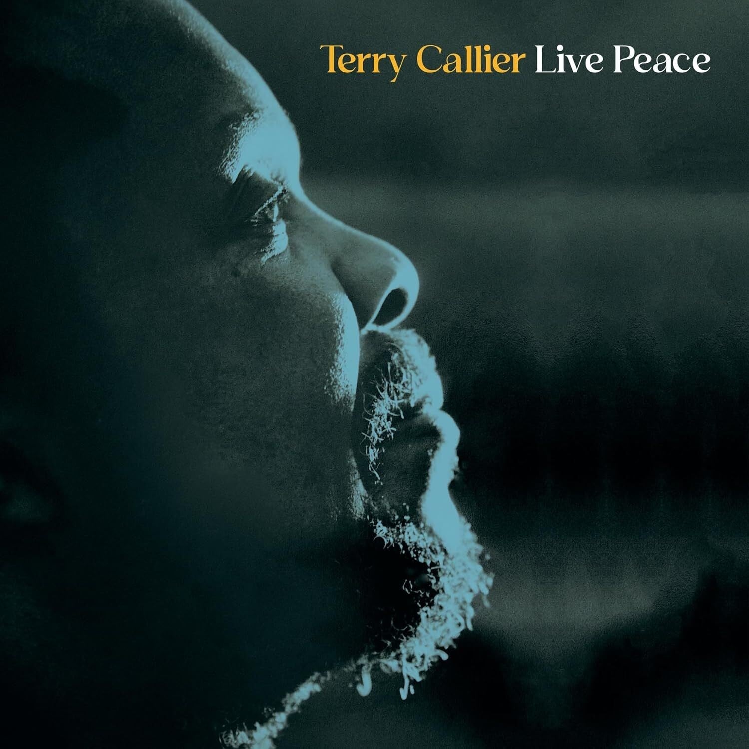 Terry Callier Live Peace - Double Record Album - Vinyl LP
