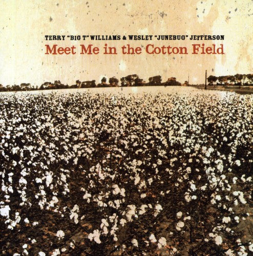 Terry Williams Meet Me in the Cotton Field - CD Album