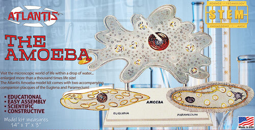 The Amazing Amoeba Stem Model Kit Atlantis - STEM Model Kit - The Amazing Amoeba - CD Album
