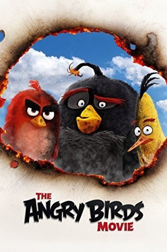 The Angry Birds Movie - DVD