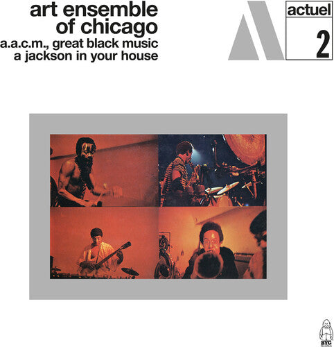 The Art Ensemble of Chicago A Jackson In Your House - Record Album - Vinyl LP