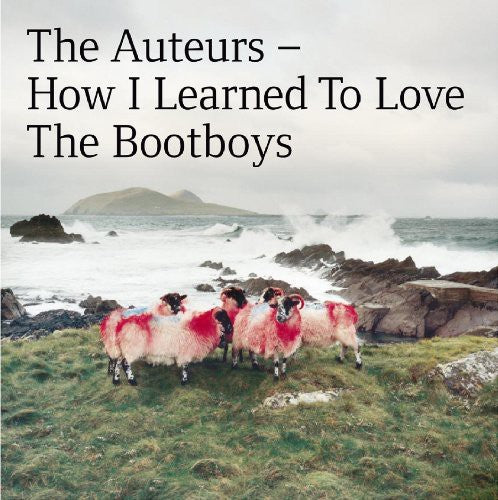 The Auteurs How I Learned to Love the Bootboys - Record Album - Vinyl LP