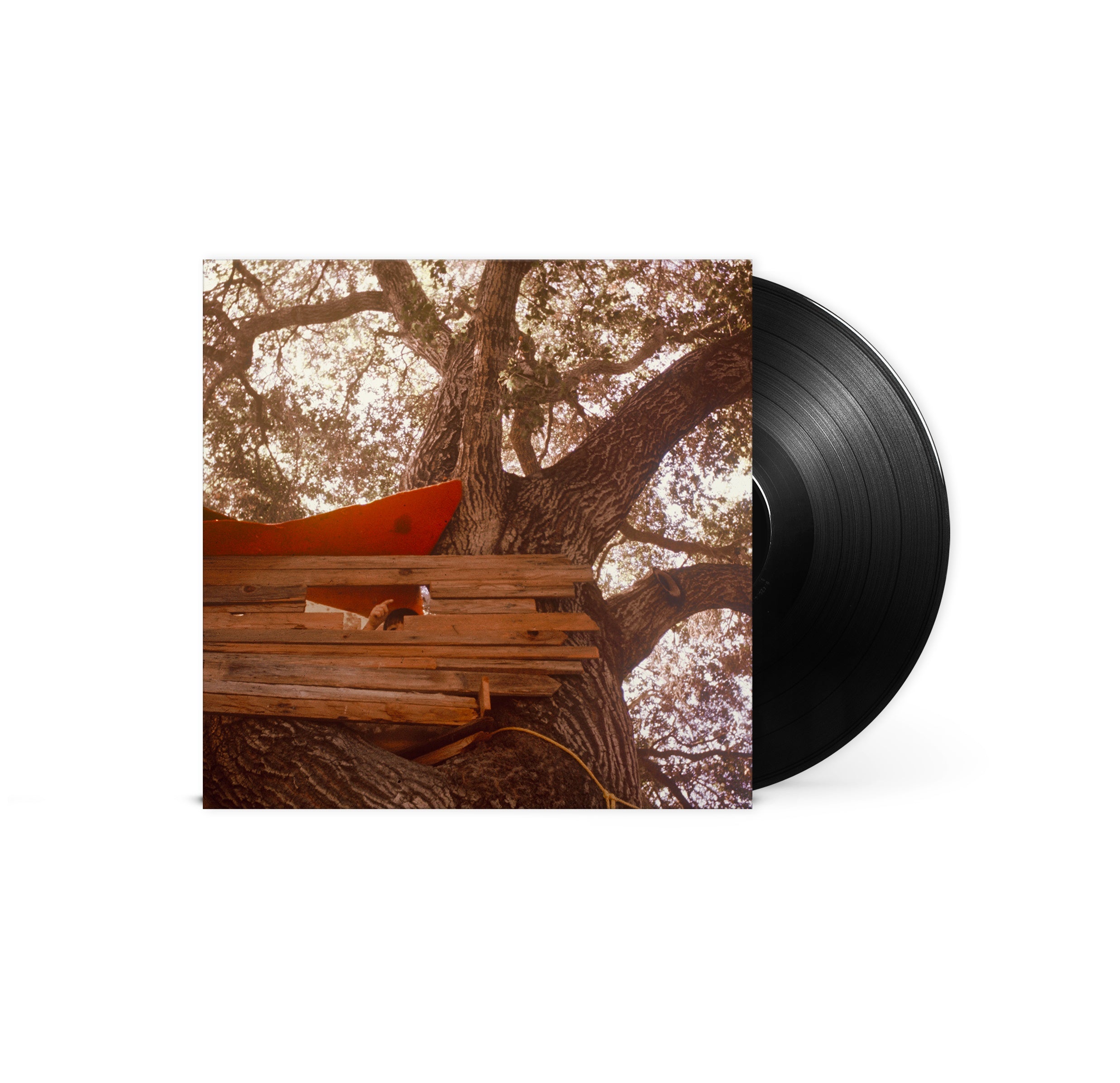 The Backseat Lovers Waiting To Spill (180 Gram Vinyl)