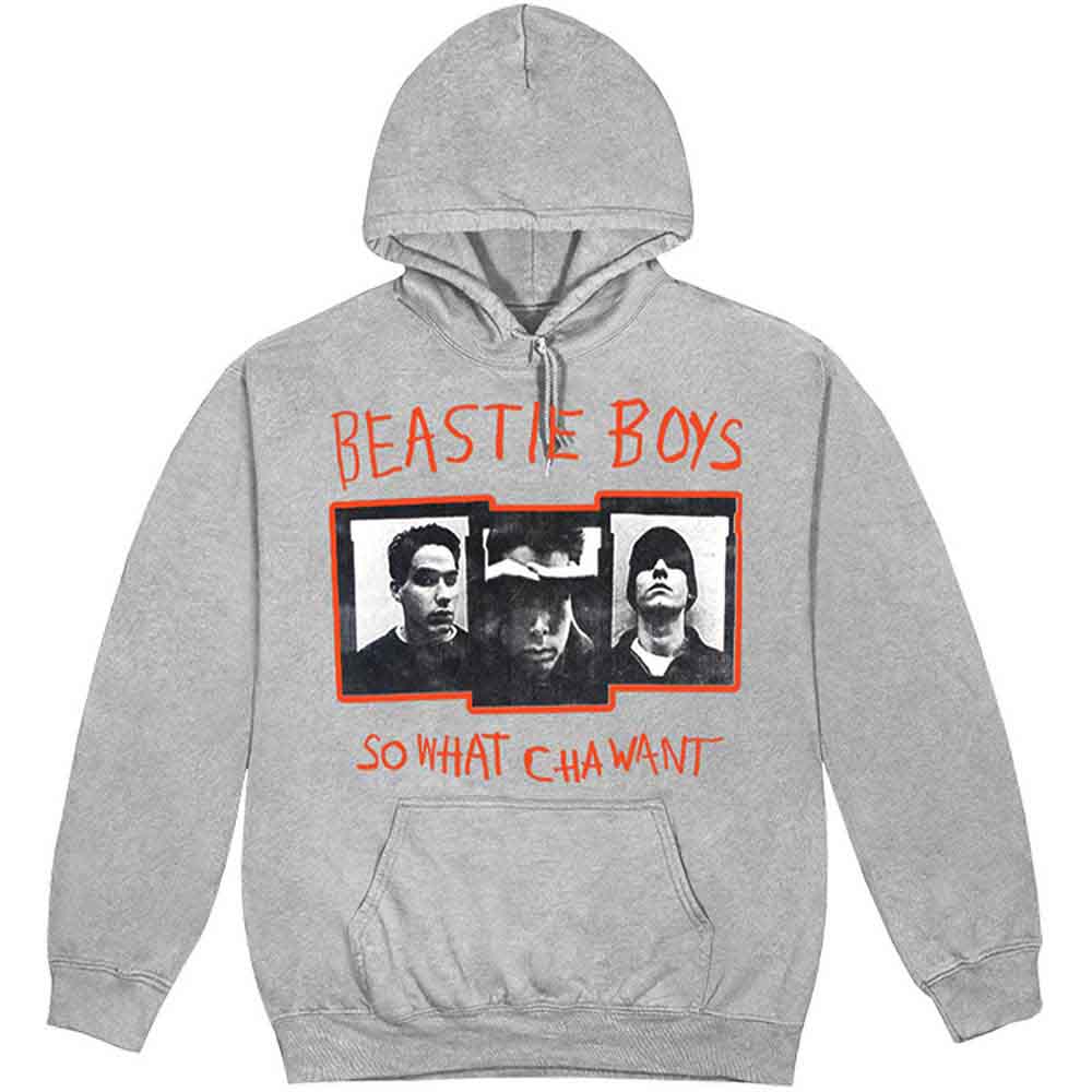 The Beastie Boys So What Cha Want Grey