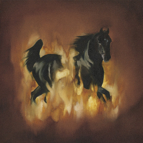 The Besnard Lakes The Besnard Lakes Are The Dark Horse - Record Album - Vinyl LP