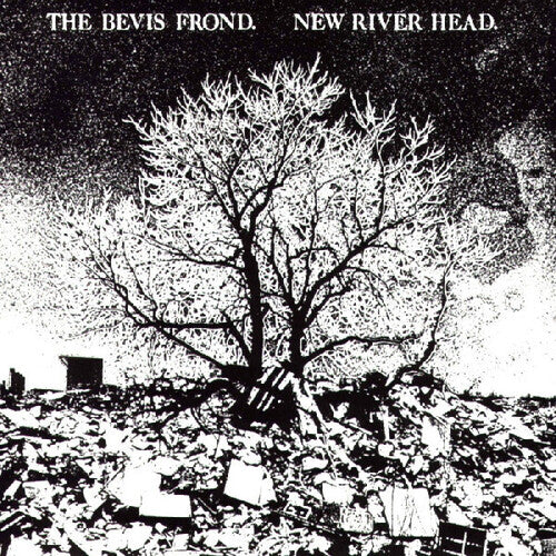 The Bevis Frond New River Head - Double Record Album - Vinyl LP
