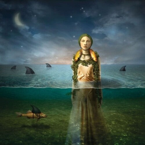 The Bled Found In The Flood - Record Album - Vinyl LP