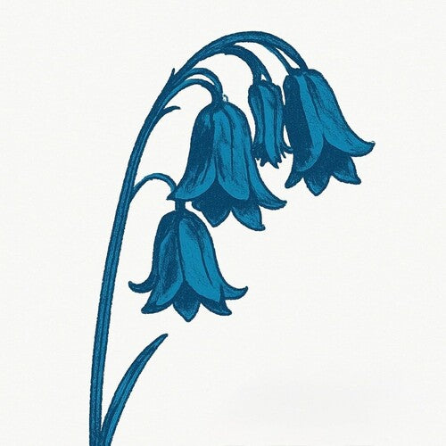 The Bluebells This Is The Bluebells - Double Record Album - Vinyl LP